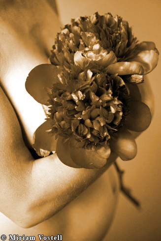 photo: BabybauchfotosNr17.jpg