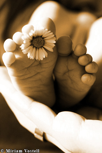 photo: BabyfotoNr19.jpg