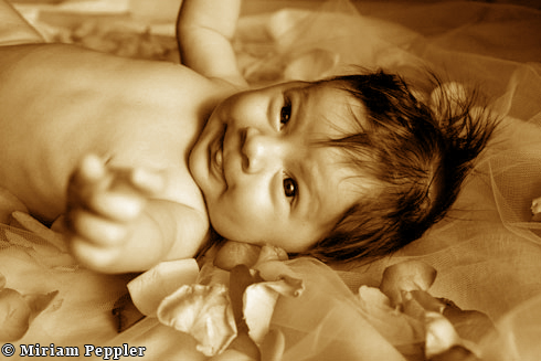 photo: baby11.jpg