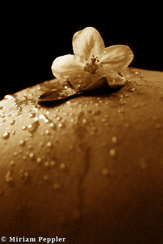 photo: babybauch24.jpg