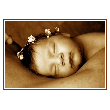 t_baby03.jpg